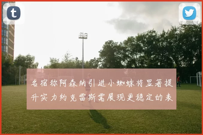 名宿称阿森纳引进小蜘蛛将显著提升实力约克雷斯需展现更稳定的表现