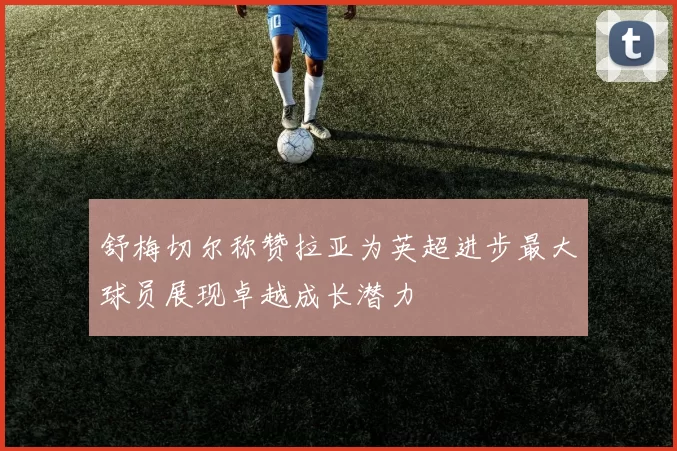 舒梅切尔称赞拉亚为英超进步最大球员展现卓越成长潜力