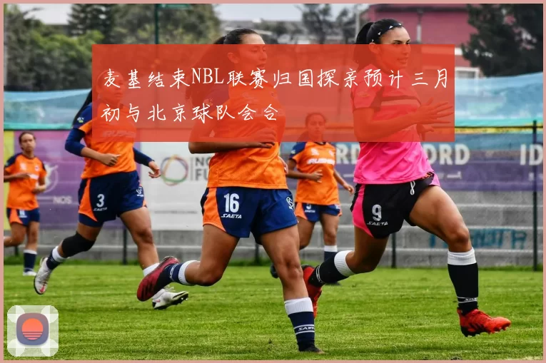 麦基结束NBL联赛归国探亲预计三月初与北京球队会合